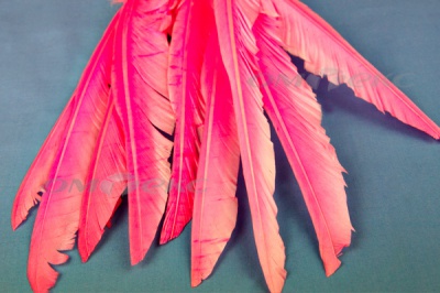Декоративный Пучок из перьев, перо 25см/розовый - купить в Махачкале. Цена: 14.40 руб.
