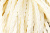 Тесьма декоративная "Шнур-косичка" - купить в Махачкале. Цена: 2.31 руб.