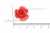 Украшение "Розы малые №1" 20мм - купить в Махачкале. Цена: 32.49 руб.