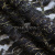 Кружевное полотно XD LACE 1-4, 80 гр/м2, шир.150см, цвет чёрный - купить в Махачкале. Цена 245.94 руб.