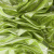 Трикотажное полотно голограмма, шир.140 см, #602 -люм.салат - купить в Махачкале. Цена 385.88 руб.