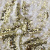 Трикотажное полотно, Сетка с пайетками, шир.130 см, #315, цв.-белый/золото - купить в Махачкале. Цена 693.39 руб.