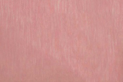 Органза однотонная "Амелия" С19 (Розовый) 280 см - купить в Махачкале. Цена 303.09 руб.