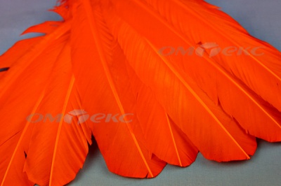 Декоративный Пучок из перьев, перо 24см/оранжевый - купить в Махачкале. Цена: 12.19 руб.