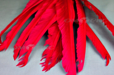 Декоративный Пучок из перьев, перо 25см/фуксия - купить в Махачкале. Цена: 12.19 руб.