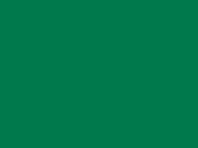 85 см № 258 яр. зеленый спираль (G) сорт-2 - купить в Махачкале. Цена: 16.97 руб.