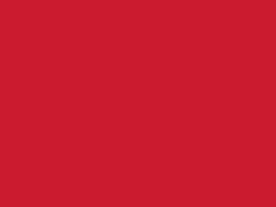 Сетка подкладочная красный, 60г/м2 (10 м/кг) - купить в Махачкале. Цена 885.73 руб.