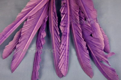 Декоративный Пучок из перьев, перо 25см/фиолетовый - купить в Махачкале. Цена: 12.19 руб.
