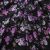 Плательная ткань "Фламенко" 20.1, 80 гр/м2, шир.150 см, принт растительный - купить в Махачкале. Цена 241.49 руб.