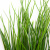 Трава искусственная -4, шт  (осока 50 см/8 см  7 листов)				 - купить в Махачкале. Цена: 130.73 руб.