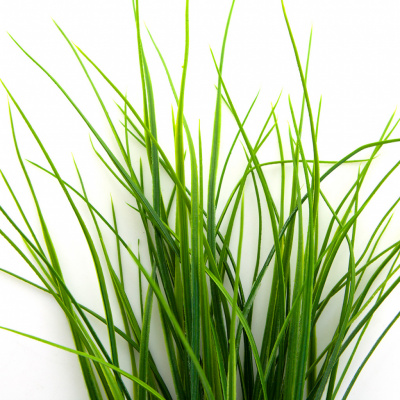 Трава искусственная -3, шт (осока 50 см/8 см  5 листов)				 - купить в Махачкале. Цена: 124.17 руб.